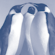 Abrir test Antarctica: Land of Ice
